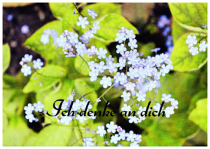 Postkarte_02.jpg